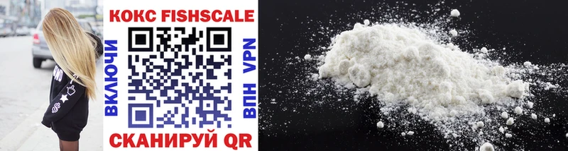 купить закладку  Балаково  Cocaine Fish Scale 