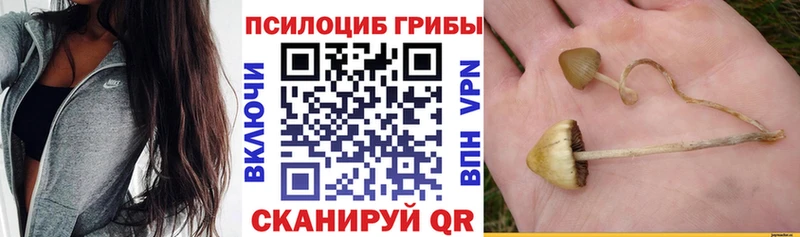 цена   Балаково  Галлюциногенные грибы ЛСД 